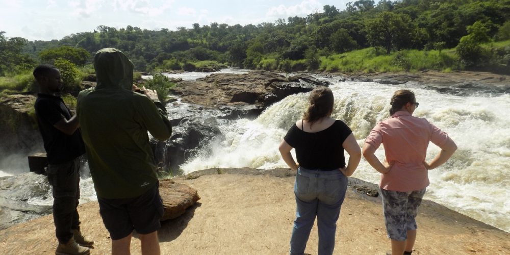 Birding Safaris Tours