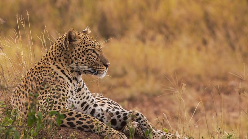 Tanzania Adventure Tours