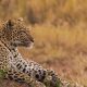 Tanzania Adventure Tours