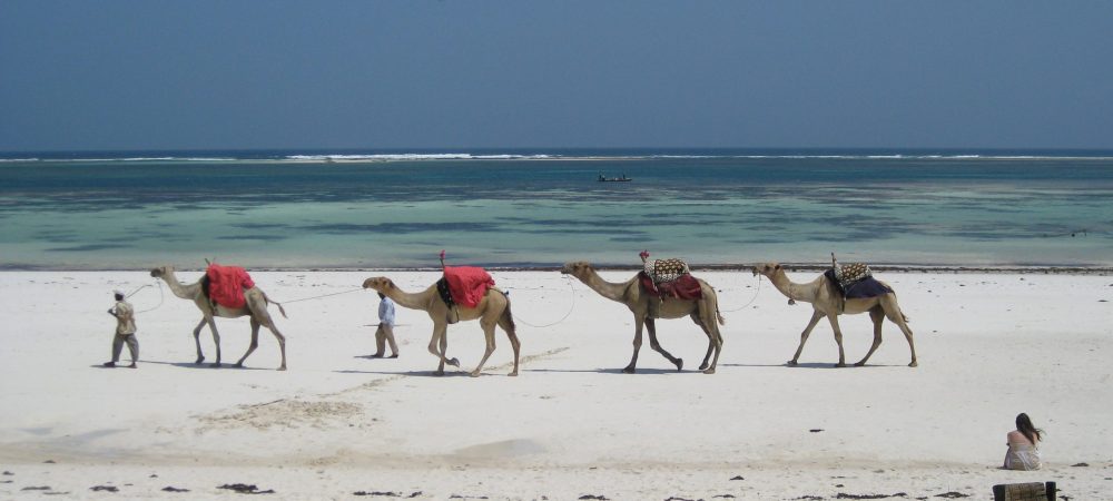 Mombasa Safaris Tour