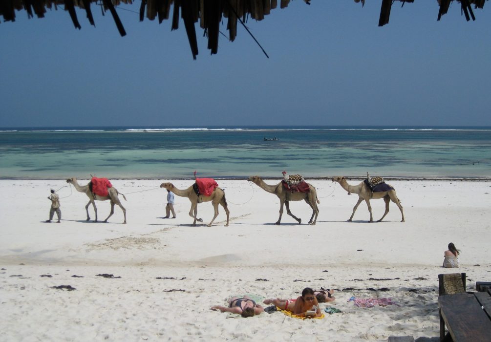 ZANZIBAR SAFARIS