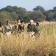 Best time to visit Kenya for Safari