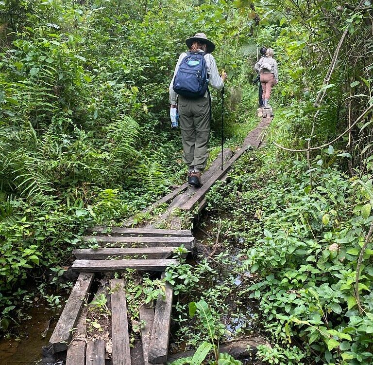 Walking Safaris in Uganda