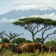 Why are Kenya safaris Expensive?