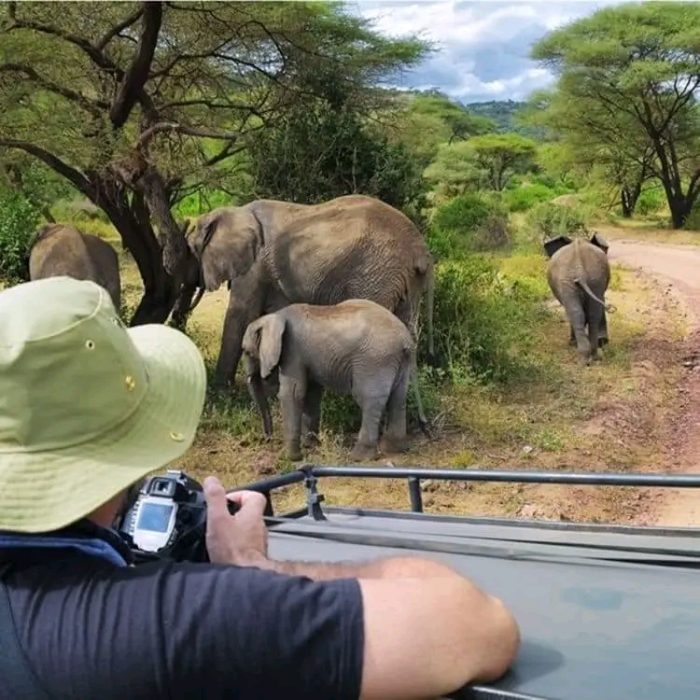 Game Drives in Tanzania