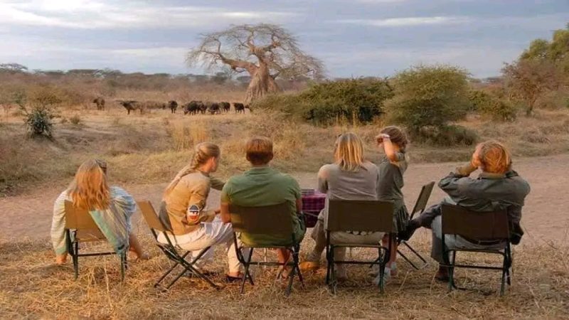 Africa Ultimate Tours